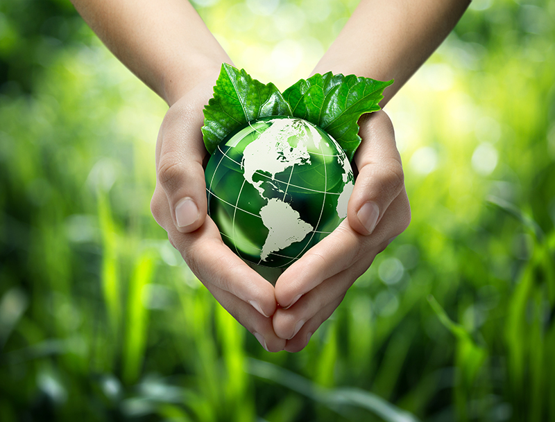 Green planet in your heart hands – usa – environment concept
